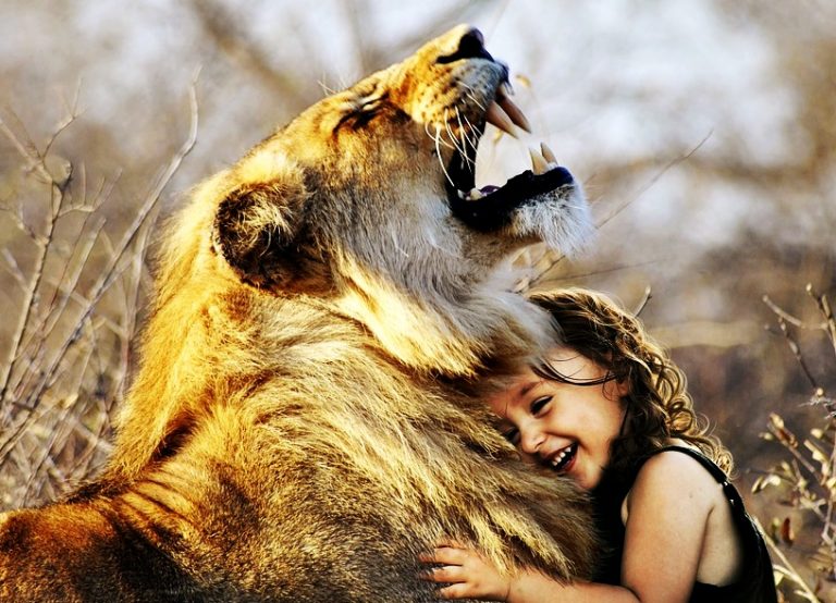 Hayvanlar İle İlgili Sözler