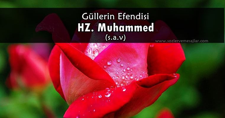 Kutlu Doğum Haftası Mesajları